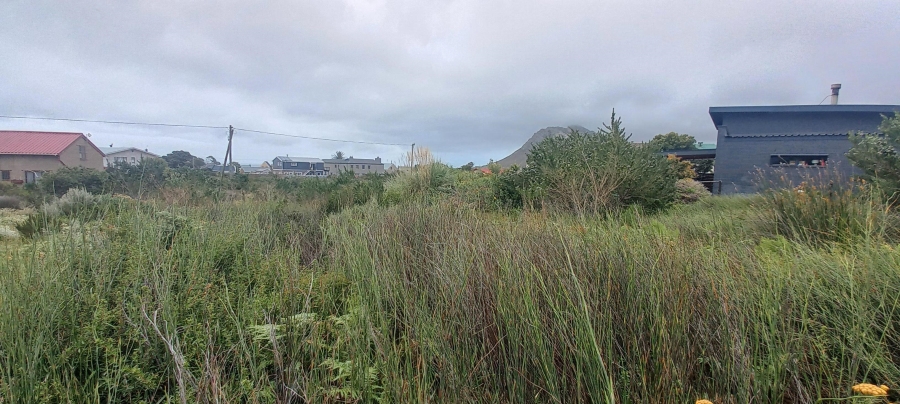 0 Bedroom Property for Sale in Pringle Bay Western Cape